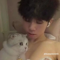 Hữu Đạt/phoenix