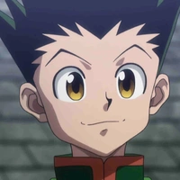 Gon Freecss