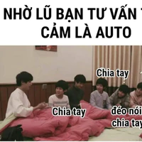 các anh