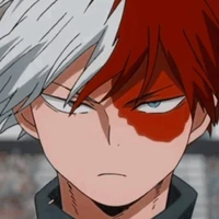 todoroki shouto