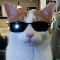 tgiả