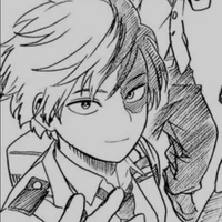 shoto todoki