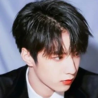 Lưu Diệu Văn