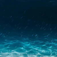 cân mọi vai diễn