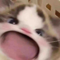 Tác giả cutee