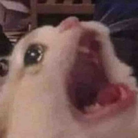* ~ Shoujou ( tác giả ) ~ *
