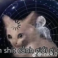 T/G