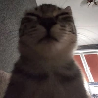 @chris.06