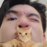 ngủ đến tự tỉnh giấc 🎀