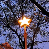 NV phụ
