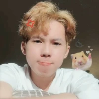 Nguyễn Hữu Đạt-Phoenix