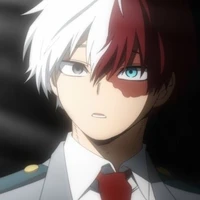 Shoto Todoroki