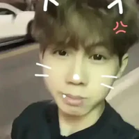 pho níc(phoenix)