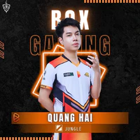 quang hải