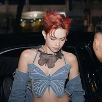 Nguyễn Thanh Pháp(Pháp kiều)