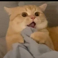 t/g ăn hột dịt lộn