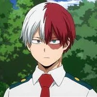 todoroki shoto
