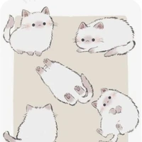 Mèo
