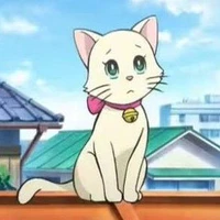 mimi_chan