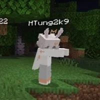 HTung
