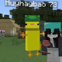 Huyhaybao