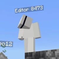 Editor