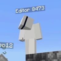 Editor