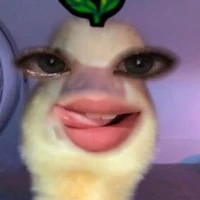 Tác giả rất siêngg💆🏻‍♀️