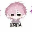 Hiha BNHA