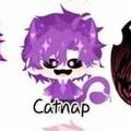 Hiha Catnap