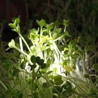 Tác giả dễ huông nhứt qả đất