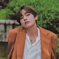 kim Taehyung (v)