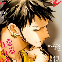 Trafalgar D Water Law