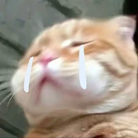 Surie_Dâu (t/g)
