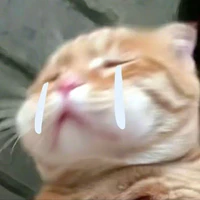 Surie_Dâu (t/g)