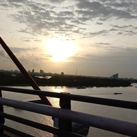 Tác giả rất cần like