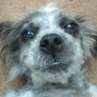Bé Bông