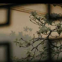 Thương Khung Sơn phái