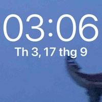 Tác giả