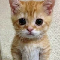 nhân vật nói chung