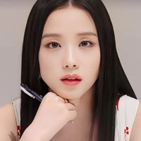 jisoo ( chị)