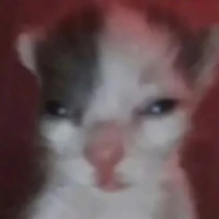 Đau đàu quá àaaa