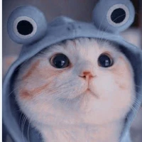 ？？？Hệ thống 1997