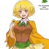 Seno _ Sun flower