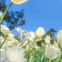 Hệ thống đồng hành cùng tân thủ •Kyu•