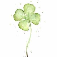 Hệ thống TCH ( narry )