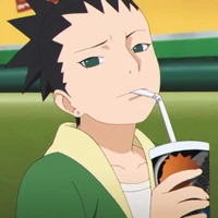 Nara Shikadai