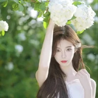 hệ thống cấp sss+