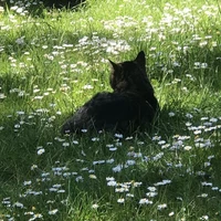 TG đua xe bốc đầu thẳng vào trái tim em