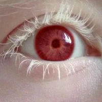 Đấng tối cao Oda